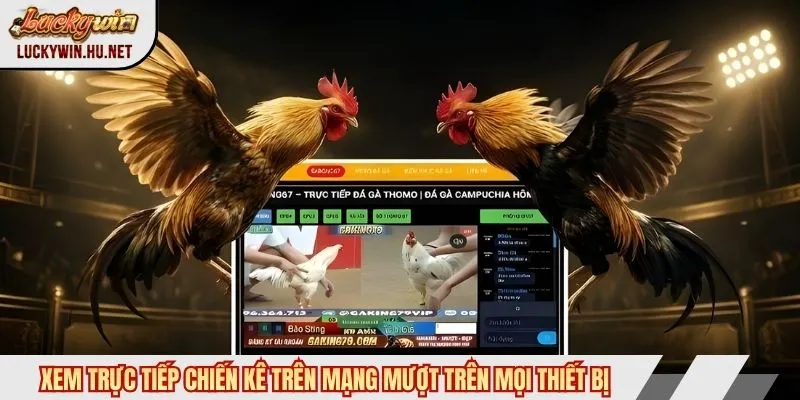 Trực tiếp coi đá gà mạng mượt trên mọi thiết bị