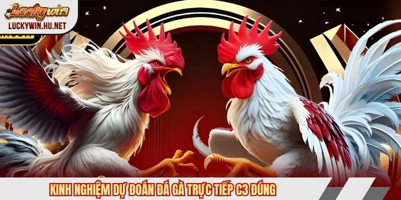 Kinh nghiệm dự đoán đá gà trực tiếp c3 đúng